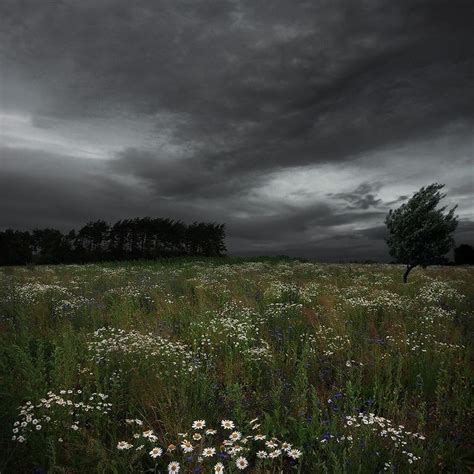 Rain In The Meadows Nature Aesthetic Landscape Nature Photography