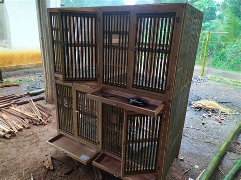 kandang ayam kandang jago box | Lazada Indonesia