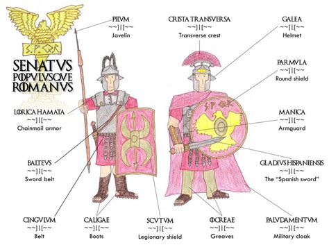 Roman Armor Diagram The Roman Army Ii Armor Arms And Weapons