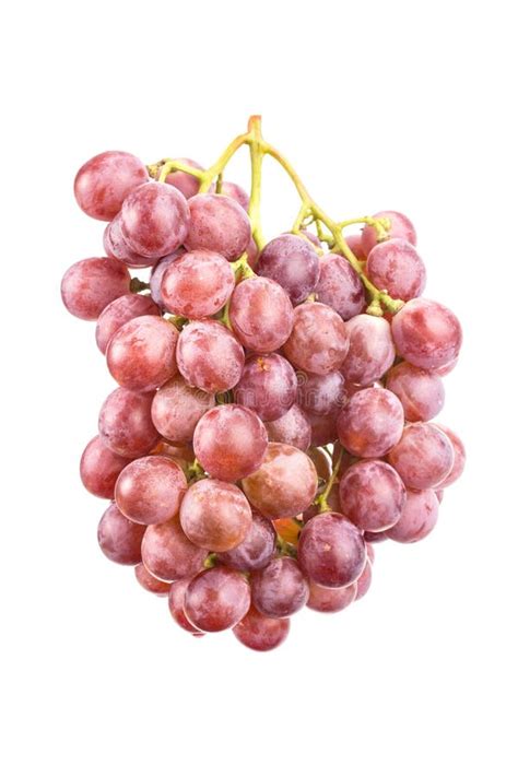 Red Grapes On White Background Stock Photo Image Of Grapes Juicy