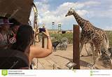 Photos of Out Of Africa Safari Park
