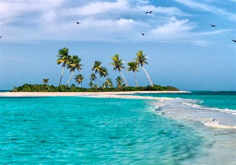 Warwick Paradise Island Nassau Bahamas All Inclusive Deals Shop Now