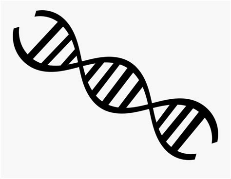 Dna Science Biology Dna Image Black And White Free Transparent
