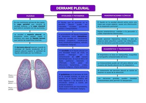Derrame Pleural Y Neumotorax Mind Map Sexiz Pix