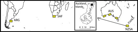 Location Of Primary Southern Right Whale Breeding Grounds And Inset Of