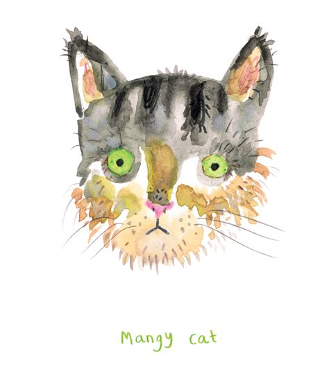 100 Cats Lorna Scobie Illustration