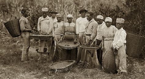 Slaves In Brazil Atlanta Black Star