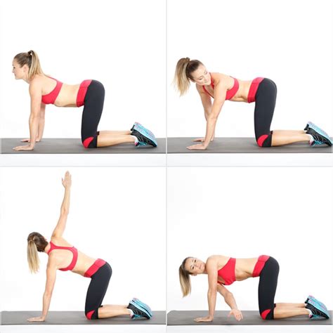 Here's a look at why this pose is beloved by so many yogis. Circuit One: Cat Cow Series | Ab and Core Workout ...