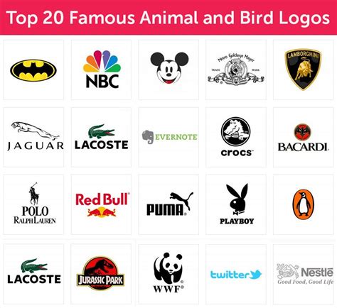 Top 20 Famous Animal And Bird Logos Bird Logos Animal Logo Pet Birds