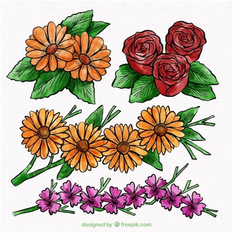 Set De Flores Dibujadas A Mano Vector Gratis