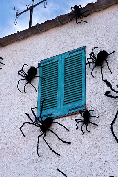 120 Spider Crawling Up Wall Stock Photos Pictures And Royalty Free