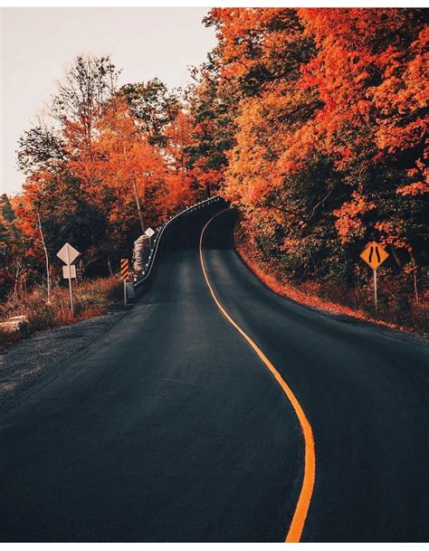20 Outstanding Fall Background Wallpaper Aesthetic Computer You Can