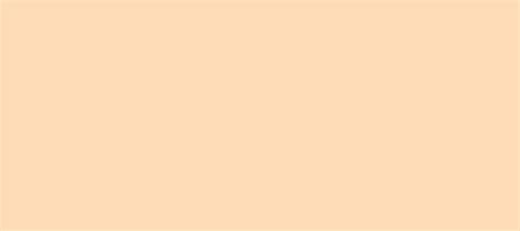 Peach is a color that is named for the pale color of the interior flesh of the peach fruit. HEX color #FEDBB7, Color name: Sandy Beach, RGB ...