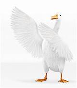 Images of Aflac Doctor Visit