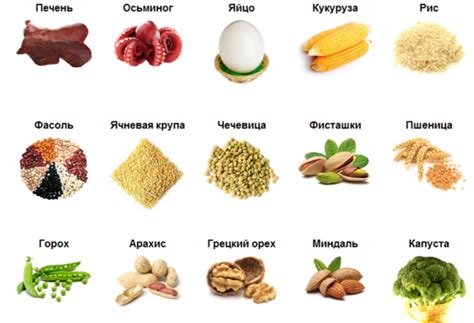 Disease of the endocrine glands : Foods for thyroid diet for thyroid disease