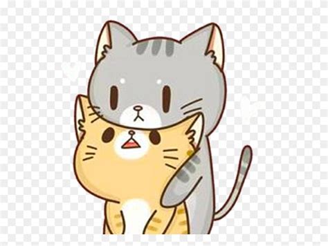 Fretoedit Cat Cats Kawaii Cute Cutecat Cuteanimals Cute Cat Png