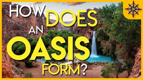 How Does An Oasis Form Youtube