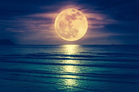 Full moon synonyms, full moon pronunciation, full moon translation, english dictionary definition of full moon. The May full moon, known as the flower moon, will be shining soon. But is it another supermoon ...
