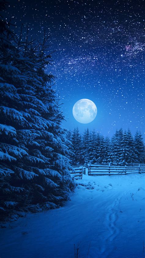 Free Download Full Moon Night In Winter Season Wallpaper Wallpapers