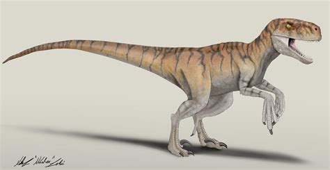 Jurassic World Dominion Atrociraptor Tiger By Nikorex On Deviantart
