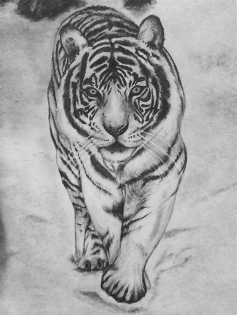 Drawn White Tiger Basic 7 Tiger Drawing Pencil Drawings Of Animals