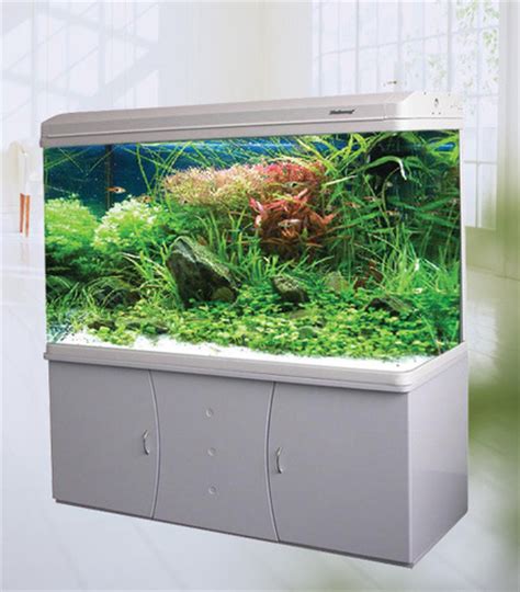 Fish Tank, Aqua Culture, Aquarium & Supplies | New Pride Aquarium