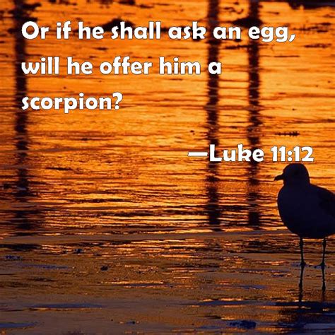 Luke 1112 Or If He Shall Ask An Egg Will He Offer Him A Scorpion