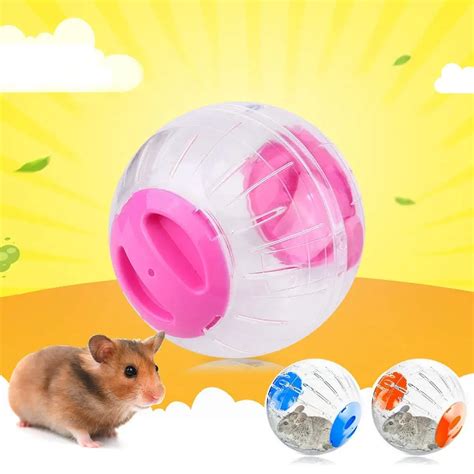 Cheap Hamster Ball Find Hamster Ball Deals On Line At