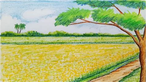 How To Draw Scenery Of Mustard Field Step By Step Youtube