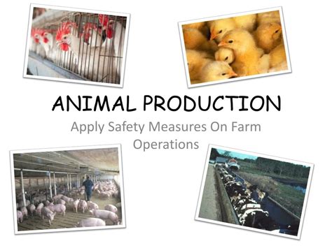 Ppt Animal Production Powerpoint Presentation Free Download Id5703695