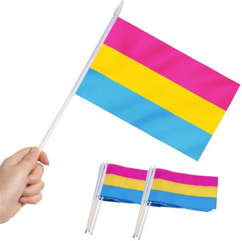 Anley Pansexual Pride Mini Flag 12 Pack Hand Held Small Miniature Pan Pride Rainbow Flags On
