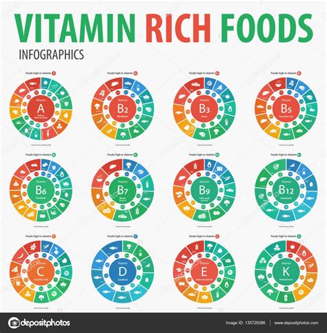 Infografías De Alimentos Ricos En Vitaminas Ilustración Vectorial