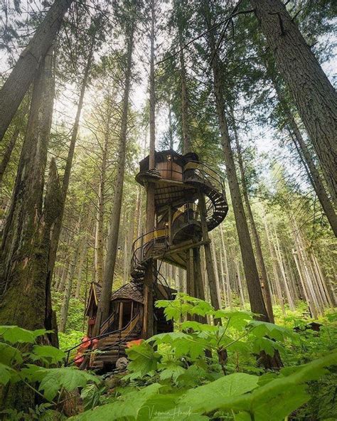 The Enchanted Forest British Columbia Canada Tree House Earth