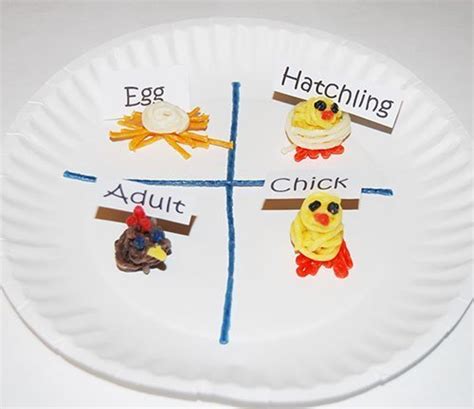 Chicken Life Cycle And A Paper Plate Craft For Kids Wikki Stix