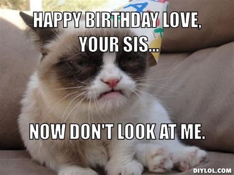 Sad Cat Meme Birthday Image Memes At