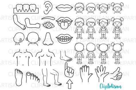 Human Body Parts Clipart Digital Stamps Graphic By Clipartisan