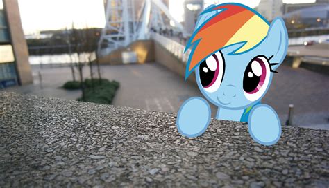 Dashie In Real Life My Little Pony Friendship Is Magic Photo