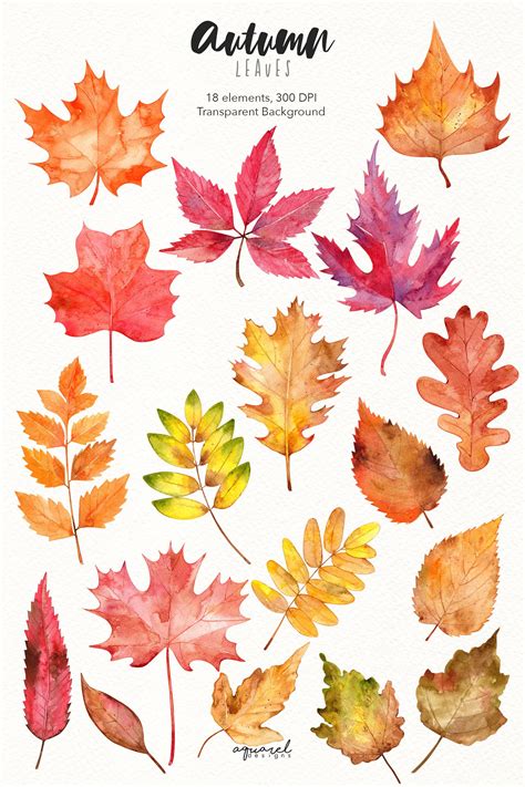 Watercolor Autumn Leaves Clipart Hand Painted Fall Leaf Etsy