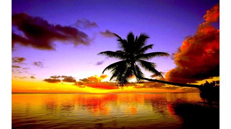 Find the best sunset beach wallpaper on getwallpapers. 43+ 4K Sunset Wallpaper on WallpaperSafari