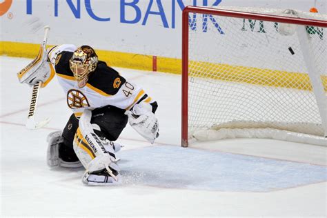 Newly Discovered African Wasp Species Named For Bruins Goalie Tuukka