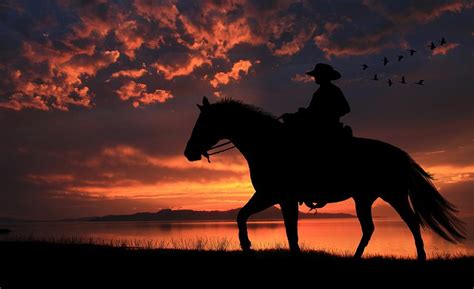 Cowboy Sunset Photograph By Gene Praag