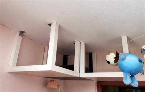 8 Diy Cat Bridge Plans You Can Make Today With Pictures Hepper