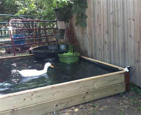 25 Awesome Diy Backyard Duck Pond Ideas And Designs For 2021