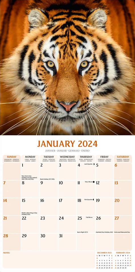Tigers Calendar Animal Calendars Pet Prints Inc