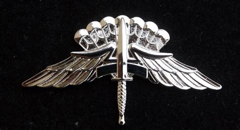 Military Freefall Parachutist Badge Wings Halo Pin Special Ops Us Army