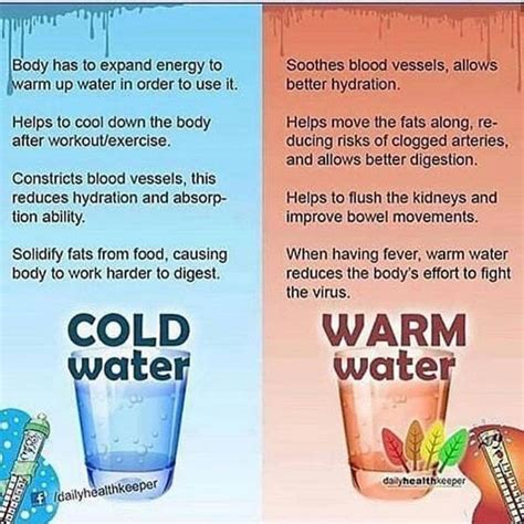 doityourselfremedies on instagram “benefits of drinking warm and cold water great post