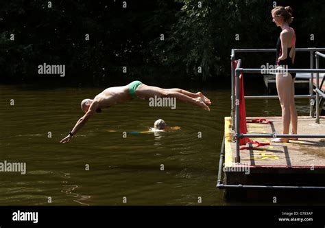 A Swimmer Diving Into The Water At The Mixed Bathing Ponds In Hampstead Heath London During A