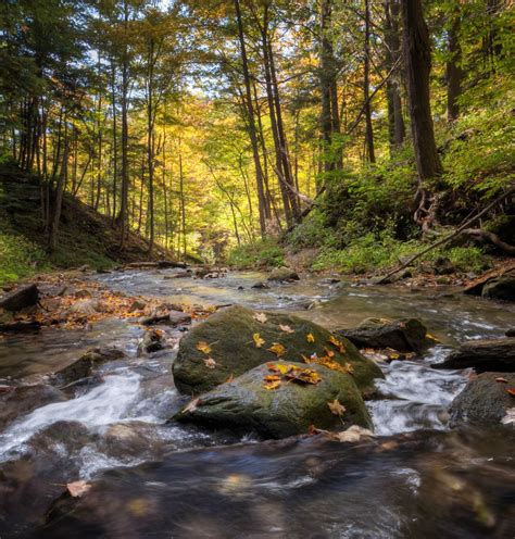 Free Images Landscape Tree Nature Forest Rock Creek