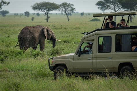 Cost Of Tanzania Safari Nature Responsible Safari