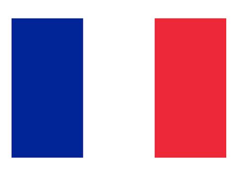 Bandeira Da França Bandeira Oficial Do País ícone Da Bandeira Mundial
